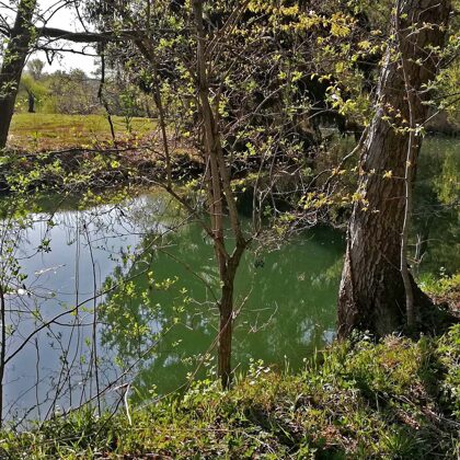 Innerste Richtung Heinder Mühle